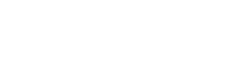 Roadskin